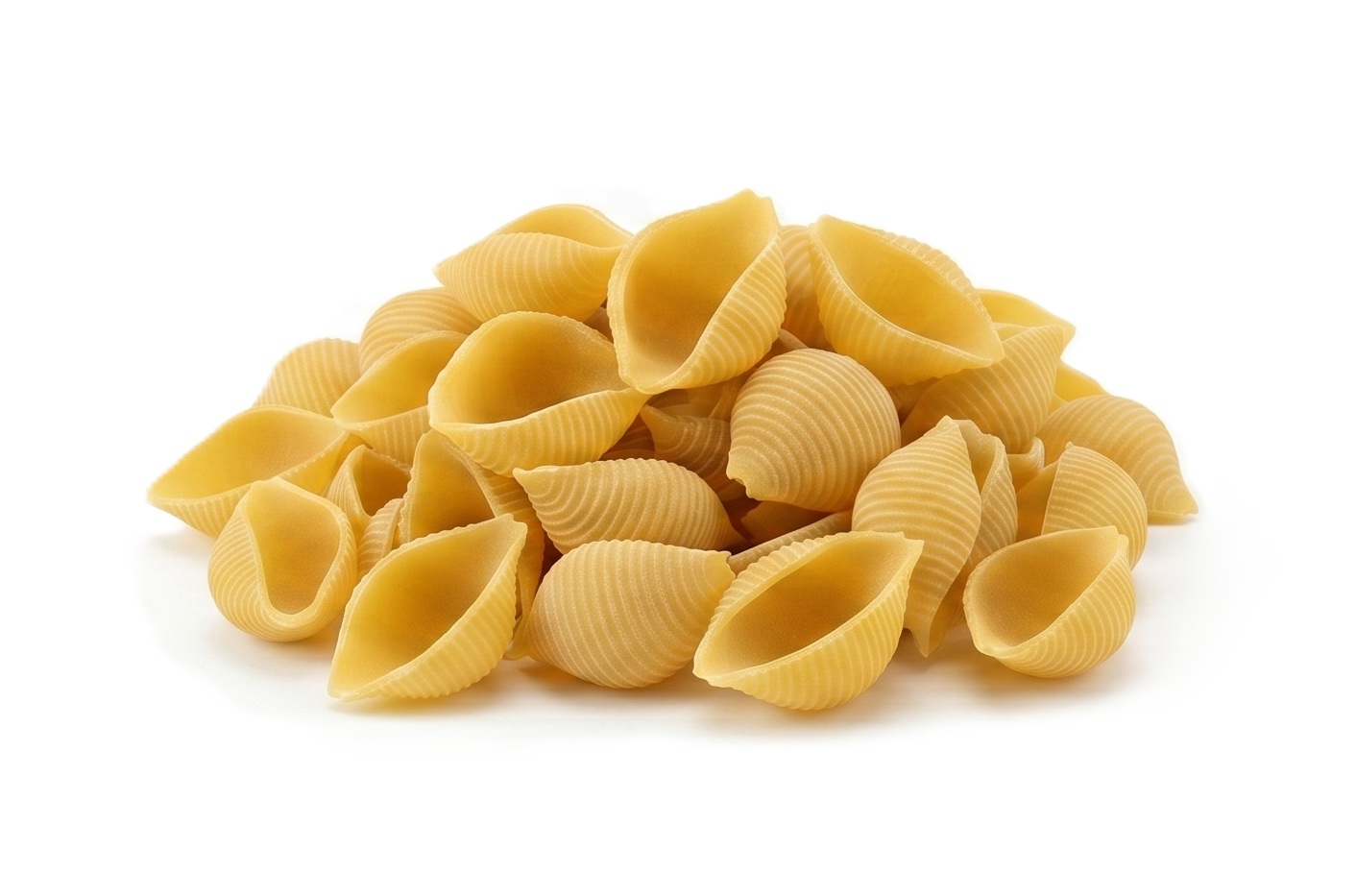 Pasta Die #172 Conchiglie Rigate, 28 mm TR95